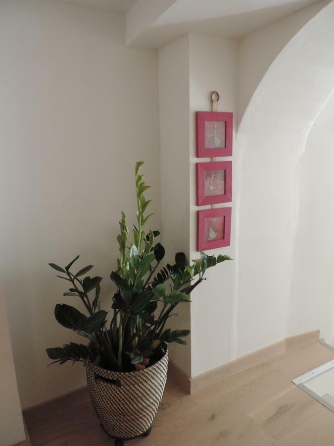 Apartament Le Logis De La Fontaine Ceyreste Zewnętrze zdjęcie